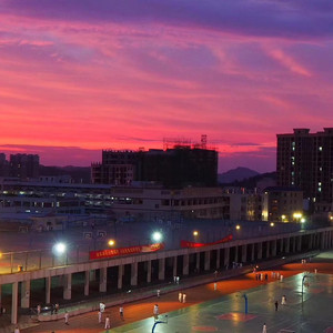 日本女老师被迷晕后做 高清网站
